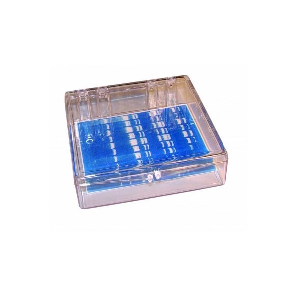 Gary Plastic Mini Blotting Containers, Clear, 11.5x11.5x3.5, 6/PK 248714 - main